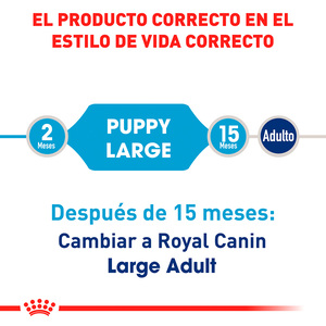 Royal Canin Alimento Seco para Cachorro Raza Grande de 2 a 15 Meses, 13.9 kg