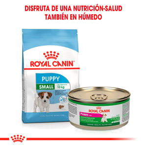 Royal Canin Alimento Seco para Cachorro Raza Pequeña de 2 a 10 Meses, 5.9 kg