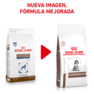 Royal Canin Veterinary Diet Alimento Seco Gastrointestinal para Cachorro, 4 kg