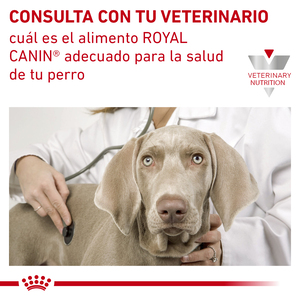 Royal Canin Veterinary Diet Alimento Seco Soporte de Saciedad para Perro Adulto Raza Mediana/Grande, 12 kg