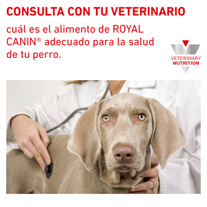 Royal Canin Veterinary Diet Alimento Seco Salud Hepática para Perro Adulto, 12 kg