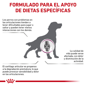 Royal Canin Veterinary Diet Alimento Seco Soporte para Movilidad para Perro Adulto Raza Grande, 12 kg