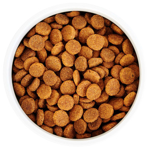 WholeHearted Healthy Benefits Alimento Natural para Perro Adulto Cuidado de Piel/Pelo Receta Salmón y Chícharo, 11.3 kg