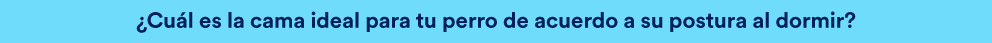 camas perro