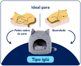 camas gato