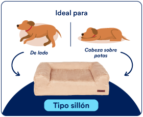 camas perro
