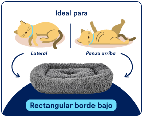 camas gato