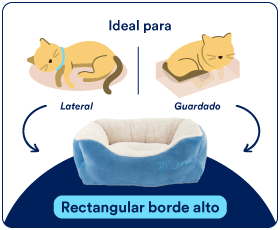 camas gato