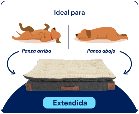 camas perro