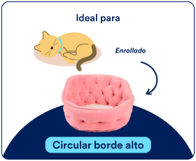 camas gato