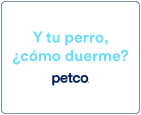 camas perro