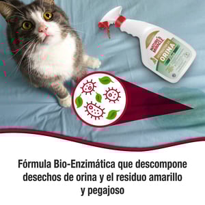 Nature's Miracle Limpiador Enzimático para Orina de Gato, 946 ml