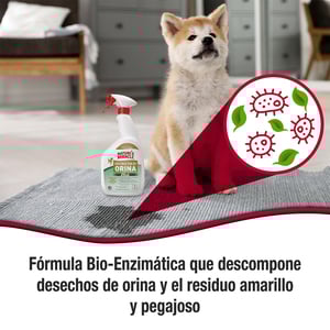 Nature's Miracle Limpiador Enzimático para Orina de Perro, 946 ml
