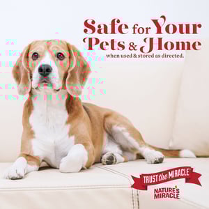 Nature's Miracle Limpiador Enzimático Concentrado para Manchas y Olores Difíciles de Perro, 3.7 L