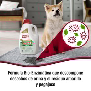 Nature's Miracle Limpiador Enzimático para Orina de Perro, 3.7 L