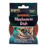 Lees Plato para Alimento de Reptiles Lees Plato para Alimento de Reptiles