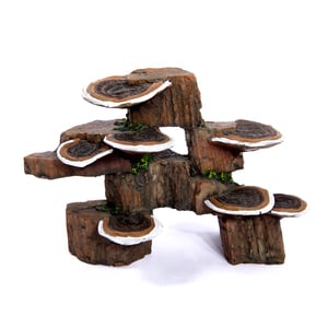 Penn Plax Piedra con Hong para Peces, 14.5 cm Largo x 6.5 cm Ancho x 9.5 cm Alto Penn Plax Piedra con Hong para Peces, 14.5 cm Largo x 6.5 cm Ancho x 9.5 cm Alto