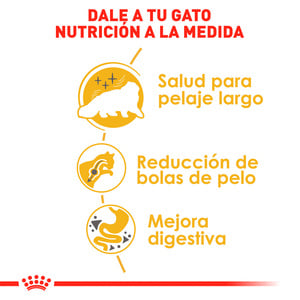 Royal Canin Alimento Seco para Gato Persa Adulto Receta Pollo, 3.1 kg