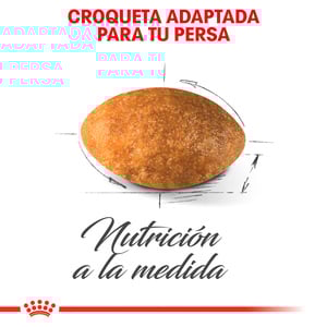 Royal Canin Alimento Seco para Gato Persa Adulto Receta Pollo, 3.1 kg