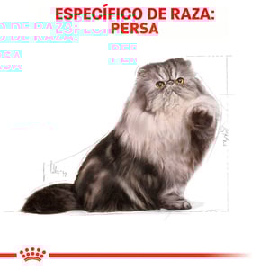 Royal Canin Alimento Seco para Gato Persa Adulto Receta Pollo, 3.1 kg