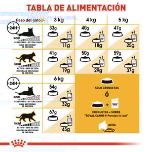 Royal Canin Alimento Seco para Gato Persa Adulto Receta Pollo, 3.1 kg