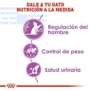 Royal Canin Control de Apetito Alimento Seco para Gato Adulto Esterilizado Receta Pollo, 2.7 kg