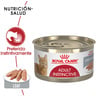 Royal Canin Instinctive Alimento Húmedo Fórmula Palatable para Gato Adulto, 85 g Royal Canin Instinctive Alimento Húmedo Fórmula Palatable para Gato Adulto, 85 g