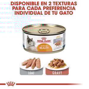 Royal Canin Intense Beauty Alimento Húmedo Piel y Pelo Saludable para Gato Adulto, 85 g