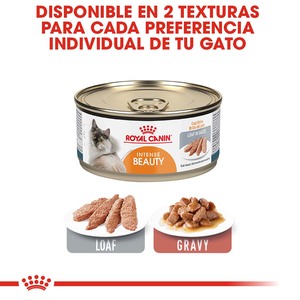 Royal Canin Intense Beauty Alimento Húmedo Piel y Pelo Saludable para Gato Adulto, 85 g