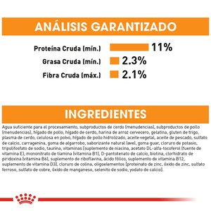 Royal Canin Intense Beauty Alimento Húmedo Piel y Pelo Saludable para Gato Adulto, 85 g