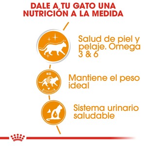 Royal Canin Intense Beauty Alimento Húmedo Piel y Pelo Saludable para Gato Adulto, 85 g