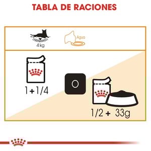 Royal Canin Intense Beauty Alimento Húmedo Piel y Pelo Saludable para Gato Adulto, 85 g