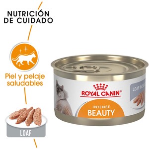 Royal Canin Intense Beauty Alimento Húmedo Piel y Pelo Saludable para Gato Adulto, 85 g