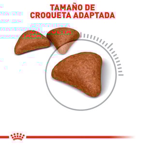 Royal Canin Hairball Alimento Seco para Gato Adulto Control Bolas de Pelo Receta Pollo, 2.7 kg