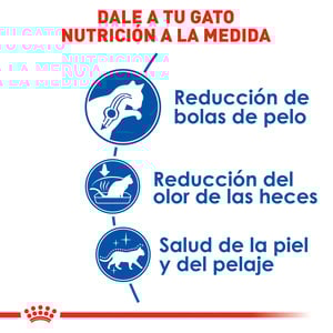 Royal Canin Alimento Seco para Gato Adulto de Interior Receta Pollo, 3.1 kg