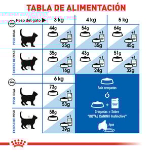 Royal Canin Alimento Seco para Gato Adulto de Interior Receta Pollo, 3.1 kg