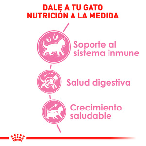 Royal Canin Alimento Seco para Gatito Hasta los 12 Meses, 1.37 kg
