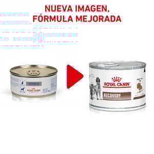 Royal Canin Veterinary Diet Alimento Húmedo para Recuperación para Perro y Gato, 145 g