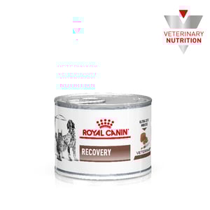 Royal Canin Veterinary Diet Alimento Húmedo para Recuperación para Perro y Gato, 145 g Royal Canin Veterinary Diet Alimento Húmedo para Recuperación para Perro y Gato, 145 g