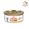 Royal Canin Veterinary Diet Alimento Húmedo para Tracto Urinario para Gato Adulto, 145 g Royal Canin Veterinary Diet Alimento Húmedo para Tracto Urinario para Gato Adulto, 145 g