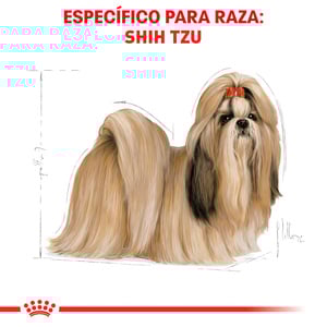 Royal Canin Alimento Seco para Perro Adulto Raza Shih Tzu, 1.1 kg