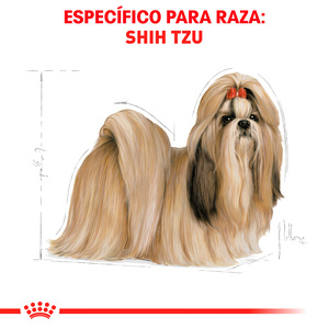 Royal Canin Alimento Seco para Perro Adulto Raza Shih Tzu, 1.1 kg