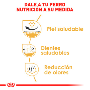 Royal Canin Alimento Seco para Perro Adulto Raza Shih Tzu, 1.1 kg