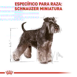 Royal Canin Alimento Seco para Perro Adulto Raza Schnauzer Miniatura, 4.5 kg