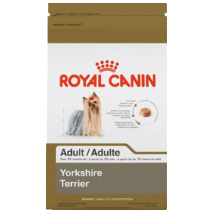 Royal Canin Alimento Seco para Perro Adulto Raza Yorkshire Terrier, 4.5 kg Royal Canin Alimento Seco para Perro Adulto Raza Yorkshire Terrier, 4.5 kg
