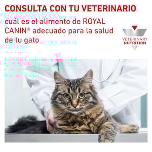 Royal Canin Veterinary Diet Alimento Seco Proteína Hidrolizada para Gato Adulto, 3.5 kg