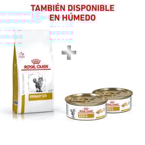 Royal Canin Veterinary Diet Alimento Seco para Tracto Urinario para Gato Adulto, 3.5 kg