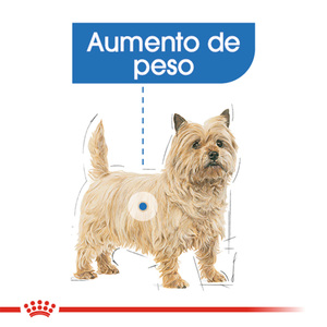 Royal Canin Weight Care Alimento Seco para Perro Adulto Control de Peso Raza Pequeña, 1.1 kg