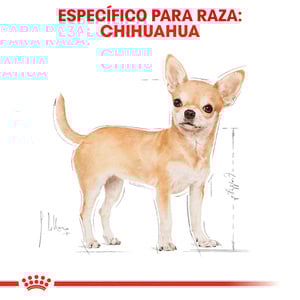 Royal Canin Alimento Seco para Perro Adulto Raza Chihuahua, 1.1 kg