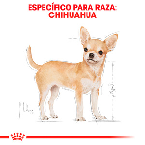 Royal Canin Alimento Seco para perro Adulto Raza Chihuahua, 1.1 kg
